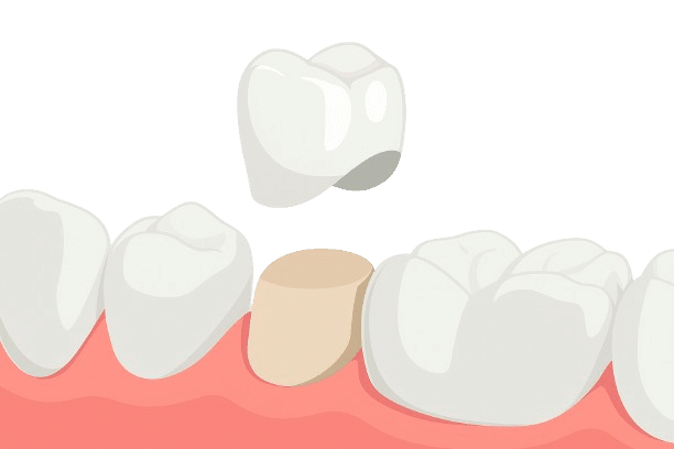 ChatGPT Image Nov 14 2025 12 51 21 PM removebg preview