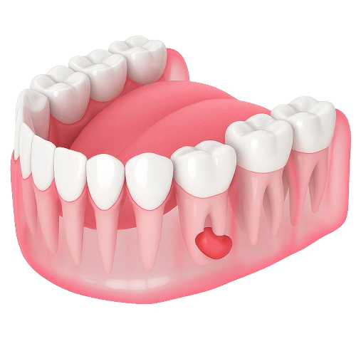 ChatGPT Immagine 3 nov 2025 01 22 35 PM removebg anteprima