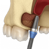 ChatGPT Image Nov 5 2025 05 35 58 PM removebg preview