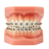 ChatGPT Image Dec 4 2025 01 27 04 PM removebg preview 1