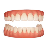 ChatGPT_Image_Dec_11__2025__01_03_42_PM-removebg-preview