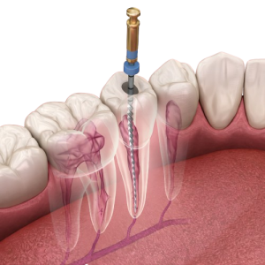 ChatGPT_Image_Dec_19__2025__01_15_11_PM-removebg-preview