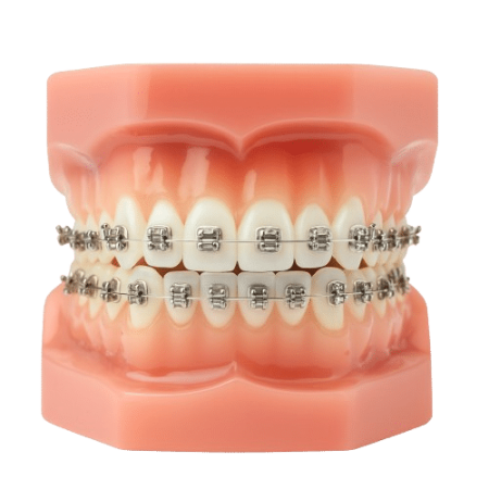 ChatGPT_Image_Dec_4__2025__01_27_04_PM-removebg-preview