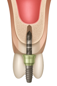ChatGPT_Image_Nov_5__2025__05_09_01_PM-removebg-preview